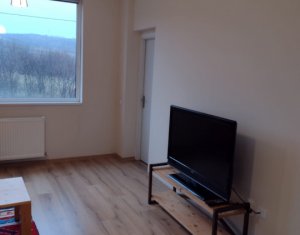 Appartement 2 chambres à louer dans Cluj-napoca, zone Borhanci