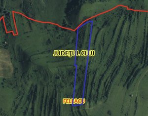 Terrain à vendre dans Cluj-napoca, zone Sopor