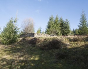 Terrain à vendre dans Belis