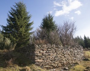 Terrain à vendre dans Belis