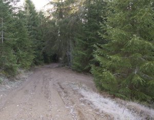 Terrain à vendre dans Belis