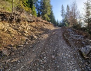 Terrain à vendre dans Belis