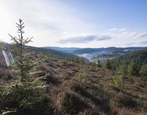 Terrain à vendre dans Belis