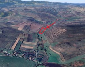 , 21500m2 dans Valea Agrisului