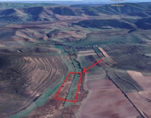 Terrain à vendre dans Valea Agrisului