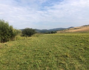 Terrain à vendre dans Valea Agrisului