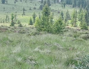 , 585m2 dans Belis