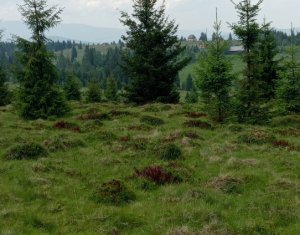 Terrain à vendre dans Belis
