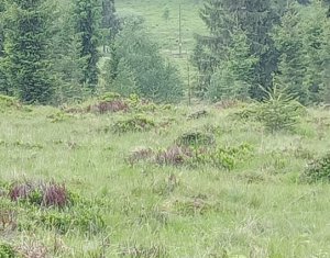 Terrain à vendre dans Belis
