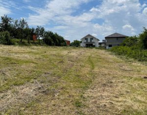 Terrain à vendre dans Jucu De Sus