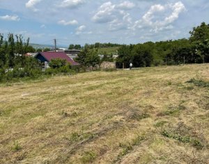 Terrain à vendre dans Jucu De Sus