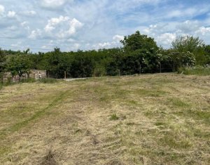 Terrain à vendre dans Jucu De Sus