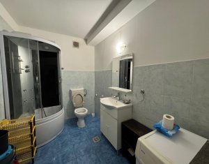 Appartement 1 chambres à louer dans Cluj-napoca, zone Iris