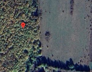 , 3300m2 on Salicea