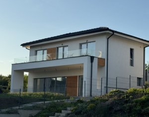 , 217m2 dans Chinteni