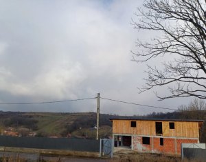 Maison 4 chambres à vendre dans Bedeciu, zone Centru