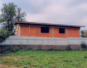 Maison 4 chambres à vendre dans Bedeciu, zone Centru