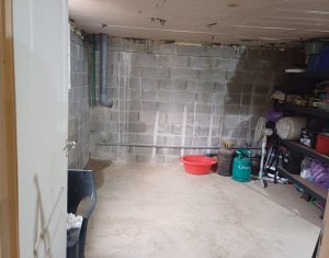 Maison 4 chambres à vendre dans Bedeciu, zone Centru