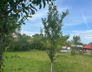 Terrain à vendre dans Dangau Mare
