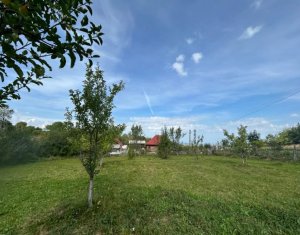 Terrain à vendre dans Dangau Mare