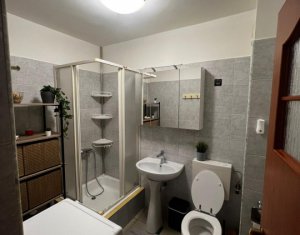 Appartement 1 chambres à louer dans Floresti