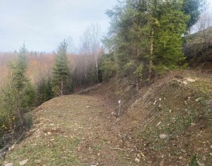 Terrain à vendre dans Marisel