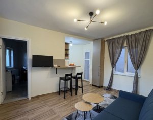 Maison 3 chambres à louer dans Cluj-napoca, zone Plopilor