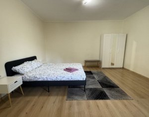 Maison 3 chambres à louer dans Cluj-napoca, zone Plopilor