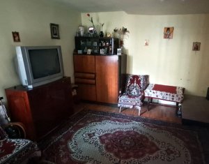 Maison 3 chambres à vendre dans Cluj-napoca, zone Iris