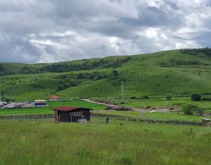 Terrain à vendre dans Chinteni