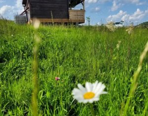 Terrain à vendre dans Chinteni