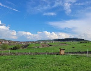 Terrain à vendre dans Chinteni