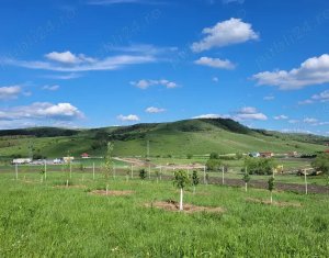 Terrain à vendre dans Chinteni