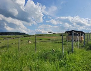Terrain à vendre dans Chinteni