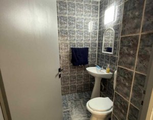 Espace Commercial à louer dans Cluj-napoca, zone Manastur