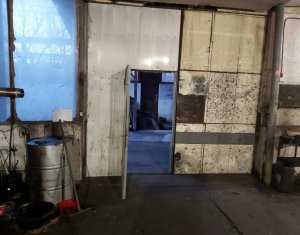 Espace Industriel à vendre dans Cluj-napoca, zone Dambul Rotund
