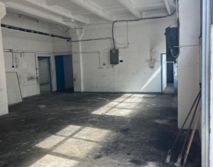 Espace Industriel à louer dans Cluj-napoca