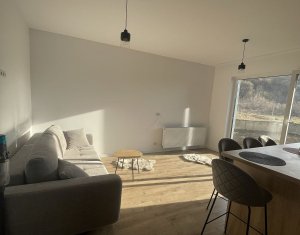Appartement 2 chambres à vendre dans Floresti