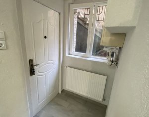 Appartement 1 chambres à louer dans Cluj-napoca