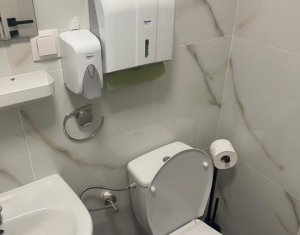 Espace Industriel à louer dans Cluj-napoca