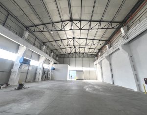 Espace Industriel à louer dans Cluj-napoca, zone Someseni