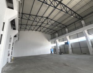 Espace Industriel à louer dans Cluj-napoca, zone Someseni