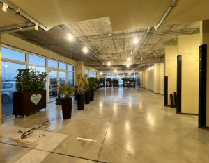 Espace Commercial à louer dans Floresti