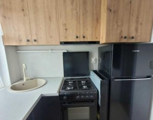 Appartement 1 chambres à vendre dans Cluj-napoca, zone Intre Lacuri