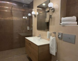Appartement 2 chambres à louer dans Cluj-napoca