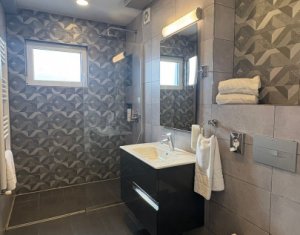 Appartement 2 chambres à louer dans Cluj-napoca