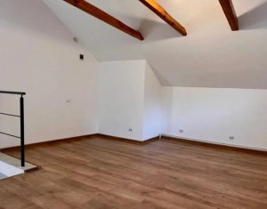 Spatiu mixt birouri sau comert 50 mp zona piata Cipariu 