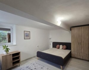Studio à louer dans Cluj-napoca, zone Andrei Muresanu