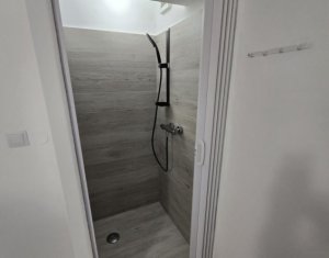 Studio à louer dans Cluj-napoca, zone Andrei Muresanu