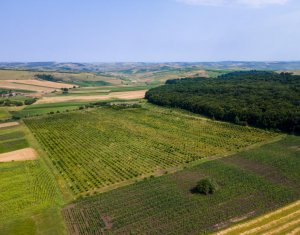 , 78200m2 in Frata